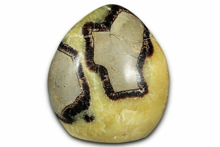 Free-Standing, Polished Septarian - Madagascar #349880